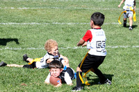 Action Shots