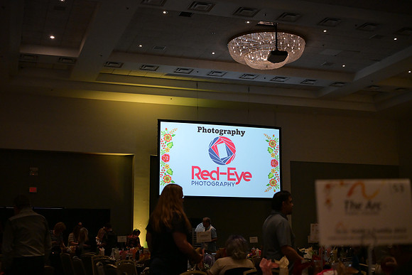 REP_2684